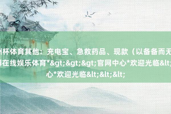 欧洲杯体育其他：充电宝、急救药品、现款（以备备而无用）等-*世博在线娱乐体育*>>>官网中心*欢迎光临<<<