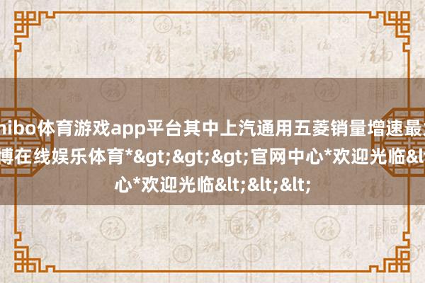 shibo体育游戏app平台其中上汽通用五菱销量增速最为显赫-*世博在线娱乐体育*>>>官网中心*欢迎光临<<<