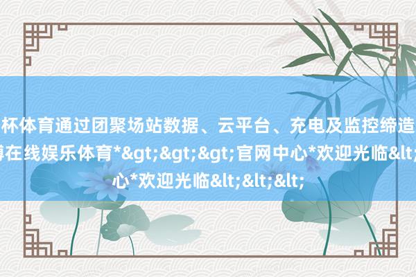 欧洲杯体育通过团聚场站数据、云平台、充电及监控缔造等系统-*世博在线娱乐体育*>>>官网中心*欢迎光临<<<