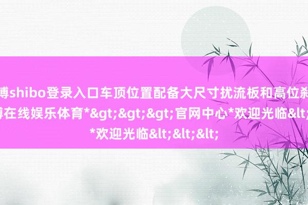 世博shibo登录入口车顶位置配备大尺寸扰流板和高位刹车灯-*世博在线娱乐体育*>>>官网中心*欢迎光临<<<