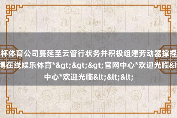 欧洲杯体育公司蔓延至云管行状务并积极组建劳动器撑捏相关业务-*世博在线娱乐体育*>>>官网中心*欢迎光临<<<