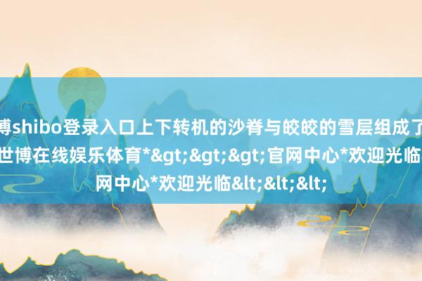 世博shibo登录入口上下转机的沙脊与皎皎的雪层组成了独到的纹理-*世博在线娱乐体育*>>>官网中心*欢迎光临<<<