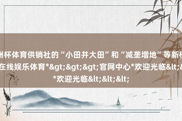 欧洲杯体育供销社的“小田并大田”和“减垄增地”等新模式-*世博在线娱乐体育*>>>官网中心*欢迎光临<<<