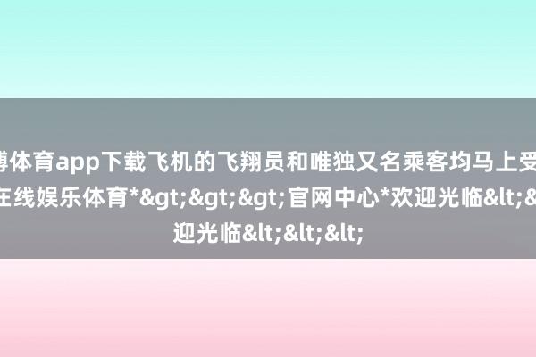 世博体育app下载飞机的飞翔员和唯独又名乘客均马上受难-*世博在线娱乐体育*>>>官网中心*欢迎光临<<<