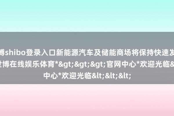 世博shibo登录入口新能源汽车及储能商场将保持快速发展的态势-*世博在线娱乐体育*>>>官网中心*欢迎光临<<<
