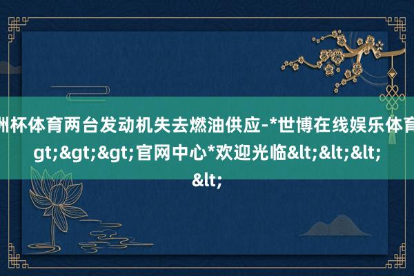 欧洲杯体育两台发动机失去燃油供应-*世博在线娱乐体育*>>>官网中心*欢迎光临<<<