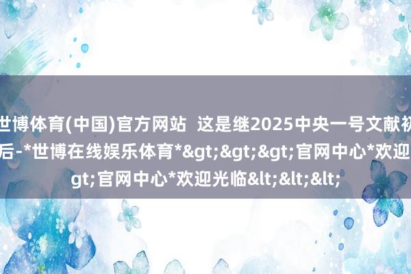 世博体育(中国)官方网站  这是继2025中央一号文献初度说起乡村工匠后-*世博在线娱乐体育*>>>官网中心*欢迎光临<<<