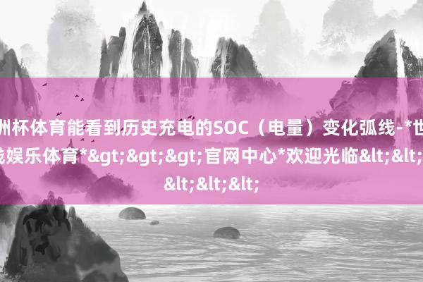 欧洲杯体育能看到历史充电的SOC（电量）变化弧线-*世博在线娱乐体育*>>>官网中心*欢迎光临<<<