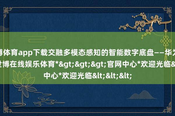 世博体育app下载交融多模态感知的智能数字底盘——华为途灵平台-*世博在线娱乐体育*>>>官网中心*欢迎光临<<<