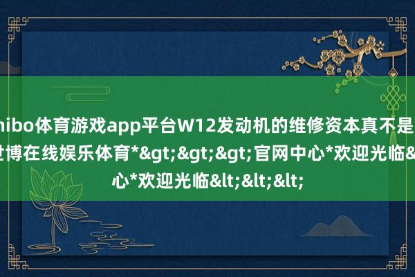 shibo体育游戏app平台W12发动机的维修资本真不是闹着玩的-*世博在线娱乐体育*>>>官网中心*欢迎光临<<<