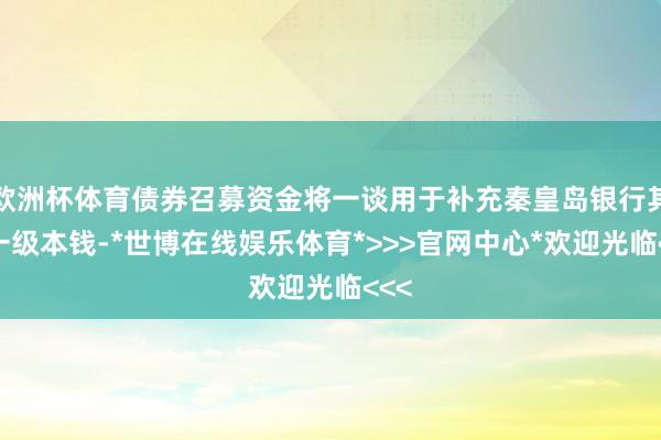 欧洲杯体育债券召募资金将一谈用于补充秦皇岛银行其他一级本钱-*世博在线娱乐体育*>>>官网中心*欢迎光临<<<