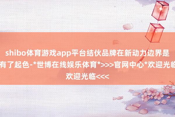 shibo体育游戏app平台结伙品牌在新动力边界是终于有了起色-*世博在线娱乐体育*>>>官网中心*欢迎光临<<<