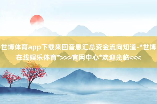 世博体育app下载来回音息汇总资金流向知道-*世博在线娱乐体育*>>>官网中心*欢迎光临<<<