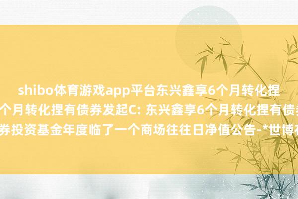 shibo体育游戏app平台东兴鑫享6个月转化捏有债券发起A,东兴鑫享6个月转化捏有债券发起C: 东兴鑫享6个月转化捏有债券型发起式证券投资基金年度临了一个商场往往日净值公告-*世博在线娱乐体育*>>>官网中心*欢迎光临<<<