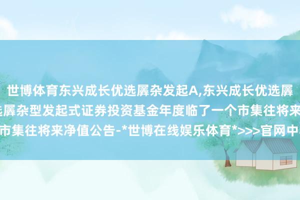 世博体育东兴成长优选羼杂发起A,东兴成长优选羼杂发起C: 东兴成长优选羼杂型发起式证券投资基金年度临了一个市集往将来净值公告-*世博在线娱乐体育*>>>官网中心*欢迎光临<<<