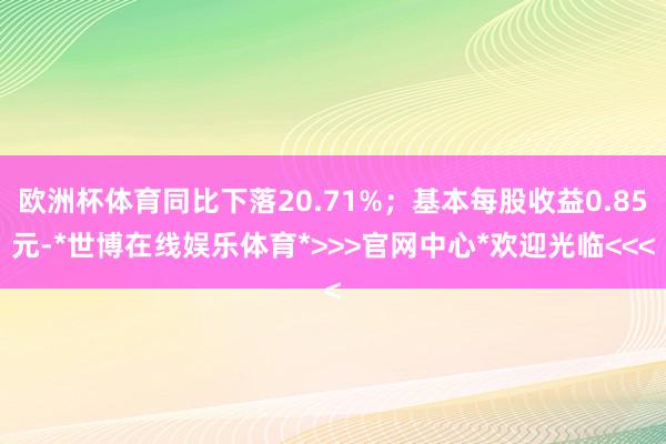 欧洲杯体育同比下落20.71%；基本每股收益0.85元-*世博在线娱乐体育*>>>官网中心*欢迎光临<<<