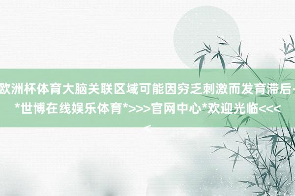 欧洲杯体育大脑关联区域可能因穷乏刺激而发育滞后-*世博在线娱乐体育*>>>官网中心*欢迎光临<<<