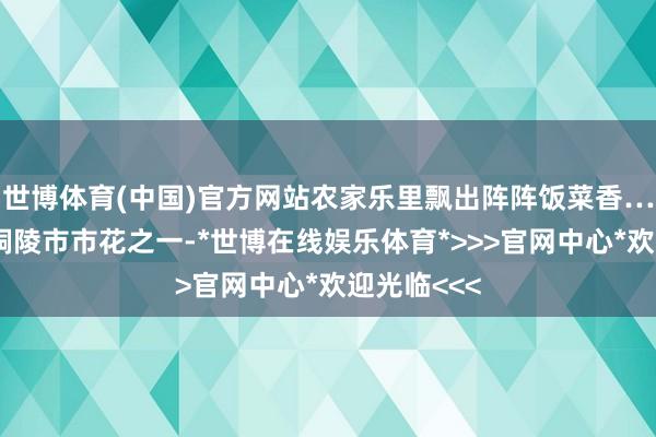 世博体育(中国)官方网站农家乐里飘出阵阵饭菜香……凤丹是铜陵市市花之一-*世博在线娱乐体育*>>>官网中心*欢迎光临<<<
